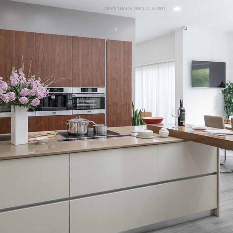 Blum Hardware Gepersonaliseerde Grootte Matte Stijl Waterdicht Keukenkast Set Voor Uw Huis