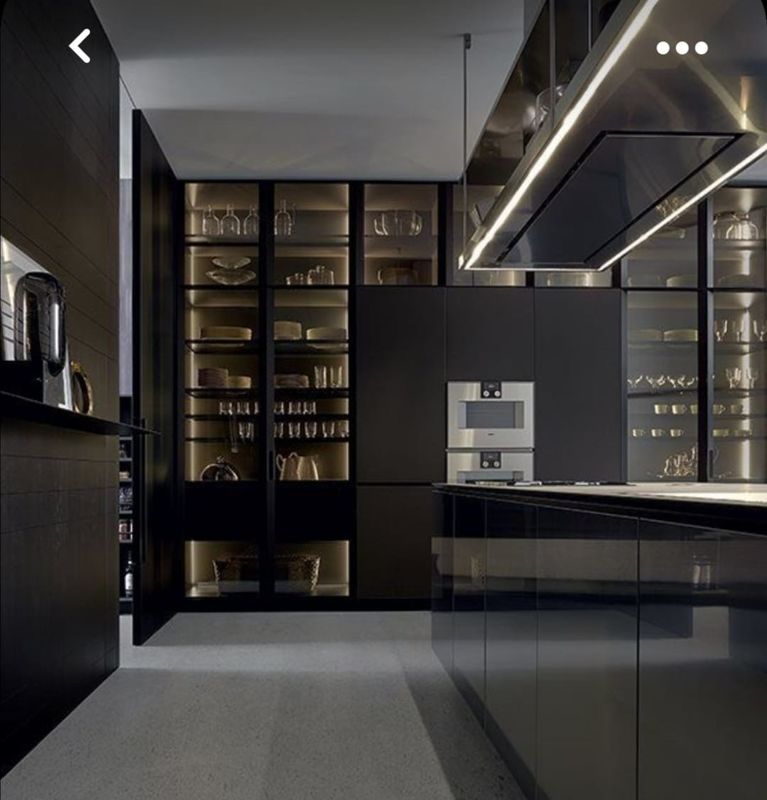Glass Used Hanging Black Pvc Stand Alone Kitchen Cabinet met een aangepaste verniskleur