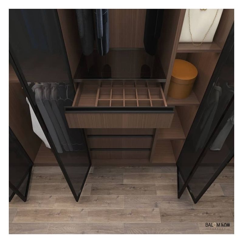 Moderne design stijl Houten minimalistische garderobe met glazen deurpaneel en lichtstrook