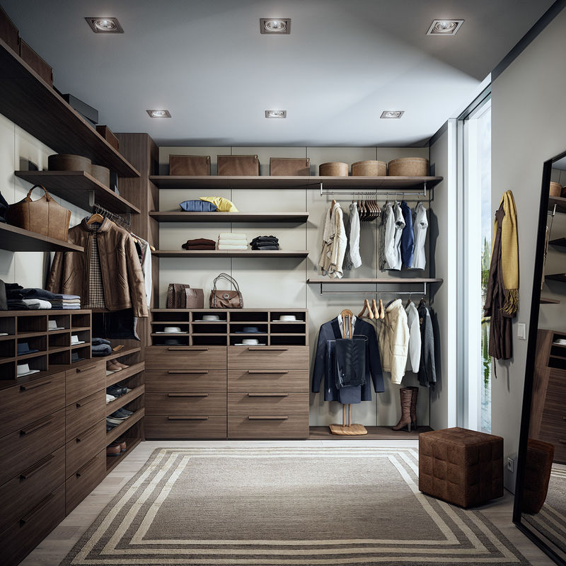 Grote houten wandeling in ingebouwde kast voor modern appartement 2D / 3D en high-end design