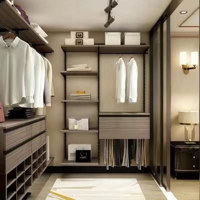 Grote houten wandeling in ingebouwde kast voor modern appartement 2D / 3D en high-end design